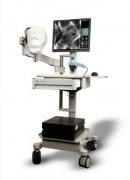 ��ά���磨Ƥ����CT